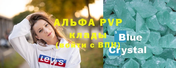 прущий лед Бородино
