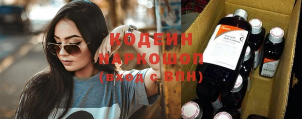 прущий лед Бородино