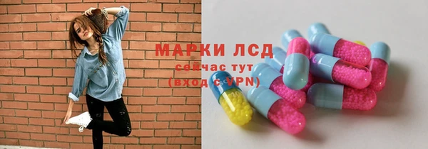 прущий лед Бородино
