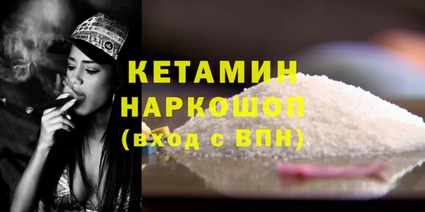 прущий лед Бородино