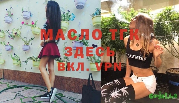 прущий лед Бородино