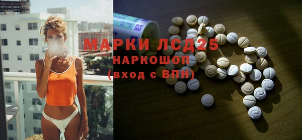 прущий лед Бородино